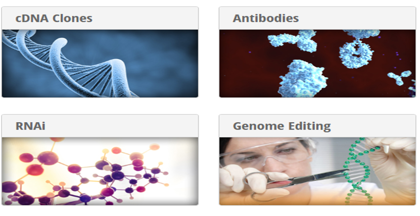 antiboties-web